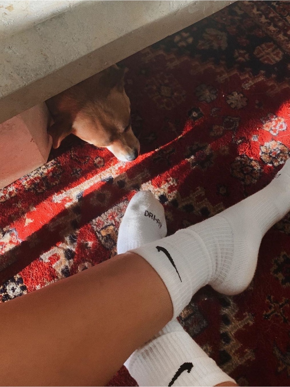 Worn Nike White Crew Socks with Black Swoosh - Women